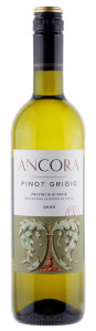 Ancora Pinot Grigio 2023